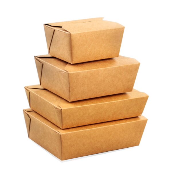 kraft windowless box