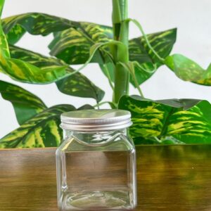 SCRUB CONTAINER WITH GOLD ND SILVER LID
