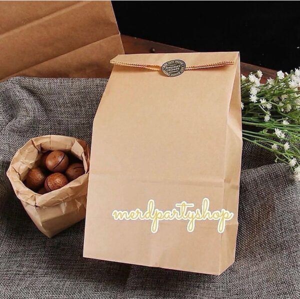 BROWN  ENVELOPE