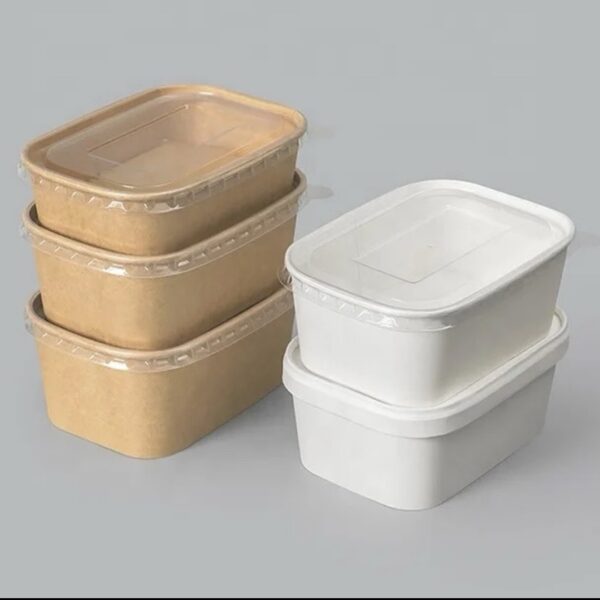 500ML FOOD BOX